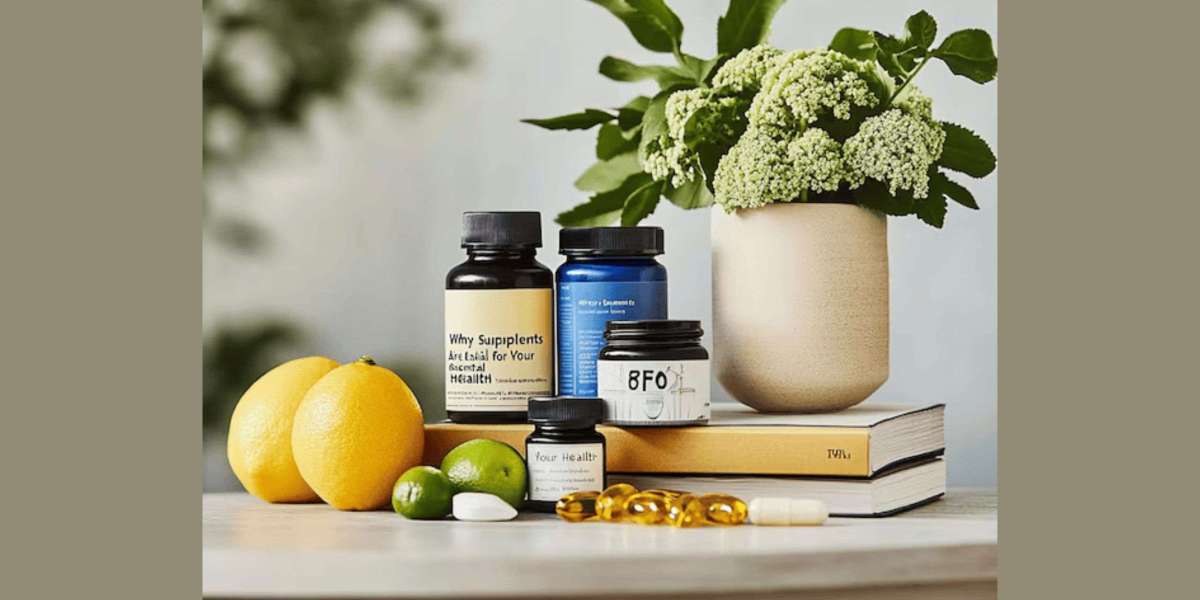 Why Gut Health Supplements and Bone Health Supplements Are Vital for Everyday Wellness