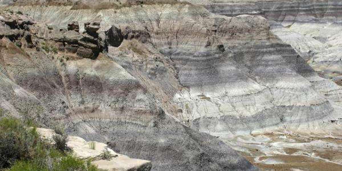 Bentonite Suppliers in India: The Hidden Mineral Powering Industries Across India