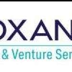 Roxana Tax Law Ventures Profile Picture